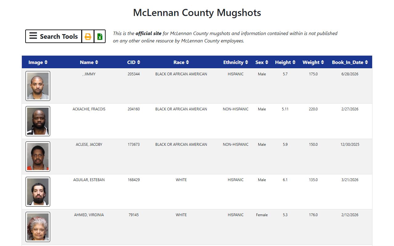 McLennan County jail mugshots application search interface